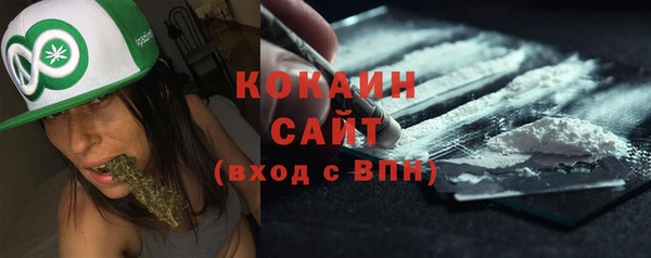 шишки Абинск