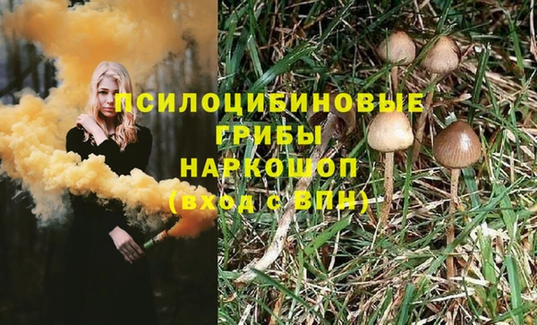 стафф Абаза