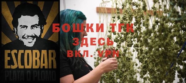 шишки Абинск