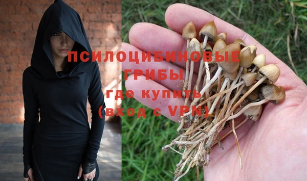 стафф Абаза
