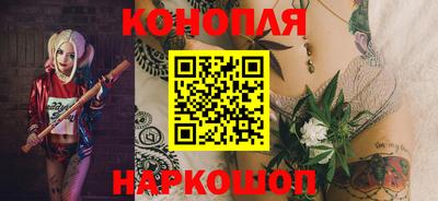 сатива Малгобек