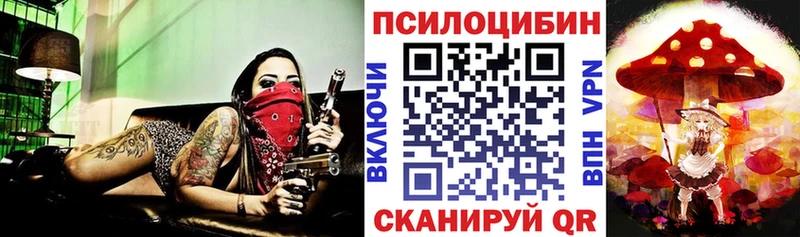 Псилоцибиновые грибы Cubensis  MEGA ссылка  Дубна 
