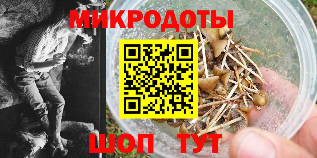 Псилоцибиновые грибы Psilocybe  Вход с VPN  Дубна 