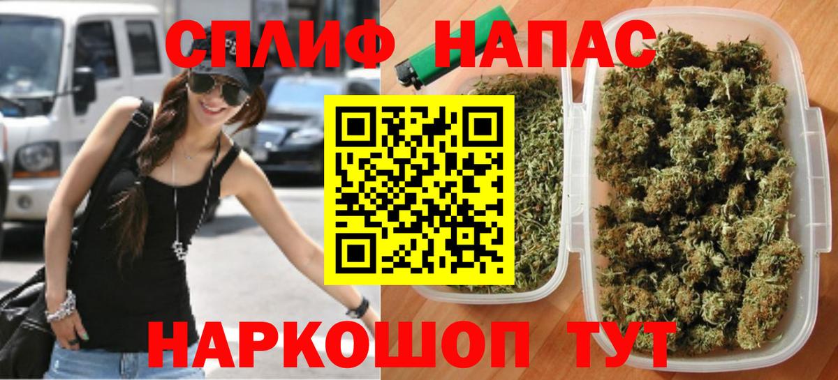 Дубна  Бошки марихуана сатива  Каннабис гибрид  Конопля план  Вход с VPN 